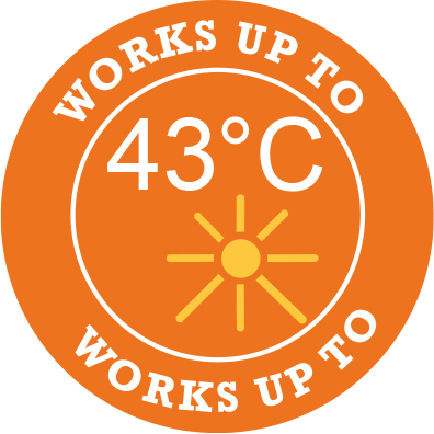 43C.png